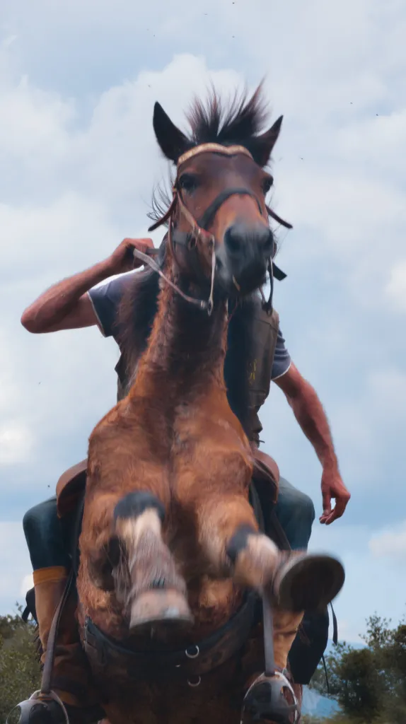Caballo encabritado — El Lejano Noroeste